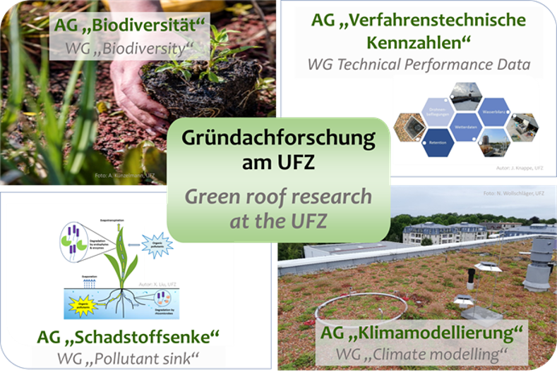 Structure of the UFZ Green Roof Research Structure of the UFZ Green Roof Research
